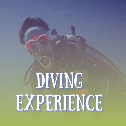 diving experience a palermo